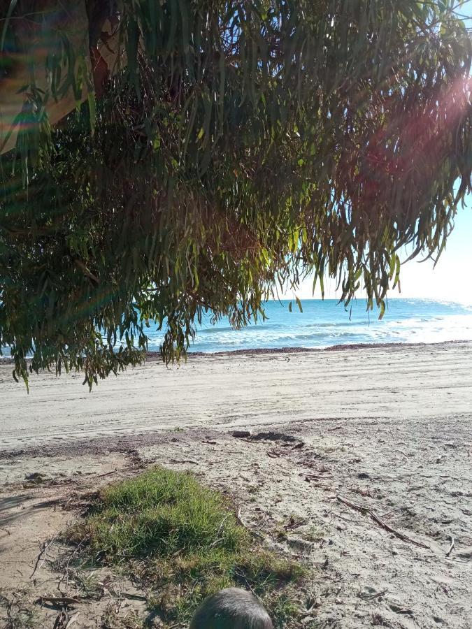 Práctico apartamento en el Centro de Marina D´or Oropesa del Mar Exterior foto